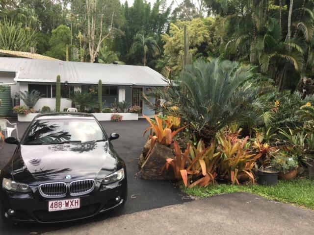Ancient Gardens Guesthouse & Botanical Gardens Eudlo Exterior foto